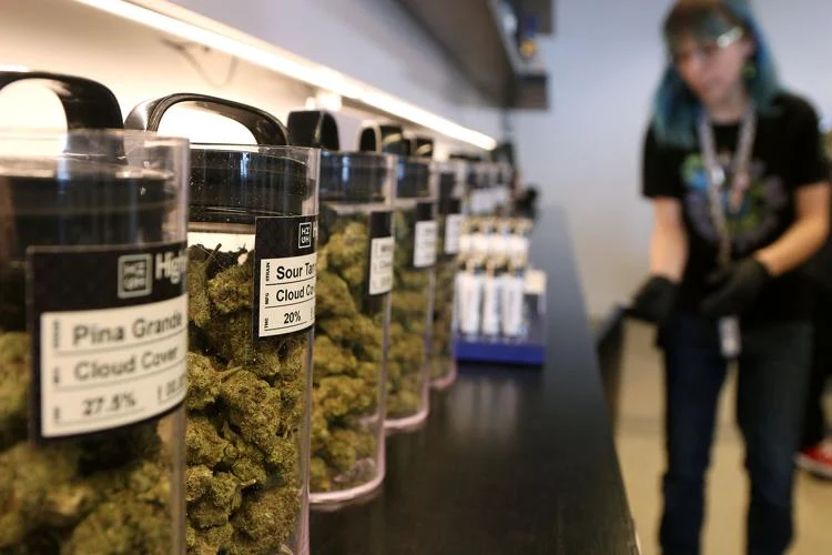 cannabis disposable vape canada,thc disposable canada,cannabis dispensary in canada,canada dispensary rules,cannabis dispensary in montreal,cannabis stores in canada,dispensaries in canada,cannabis disposable in canada and us,cannabis disposable in canada brands,cannabis disposable in canada cbd,cannabis disposable in canada cheap,cannabis disposable in canada delivery,cannabis disposable in canada edmonton,cannabis disposable in canada for sale,cannabis in canada,buy cannabis in canada,cannabis for sale canada,legal cannabis canada,cannabis online canada,order cannabis online canada,best cannabis in canada,cannabis products canada,licensed cannabis canada, cannabis vapes canada,best cannabis vapes canada,cannabis vape cartridges canada,thc vape canada,weed vape canada,best thc vape cartridges canada,where to buy cannabis vapes in canada,safest cannabis vape brands canada,disposable thc vape canada,cannabis vape pen canada,cannabis delivery canada,weed delivery canada,same day cannabis delivery canada,online dispensary canada delivery,cannabis delivery Toronto,weed delivery Vancouver,cannabis delivery Calgary,weed delivery Montreal,cannabis delivery Ottawa,where to buy cannabis in canada,buy weed online canada discreet shipping,best online dispensary canada,cheap weed canada online,legal weed online canada,best place to buy thc vape canada,buy cannabis cartridges online canada,trusted online dispensary canada,cannabis disposable canada,thc disposable vape canada,2g disposable vape canada,best disposable weed pens canada,rechargeable cannabis vape canada